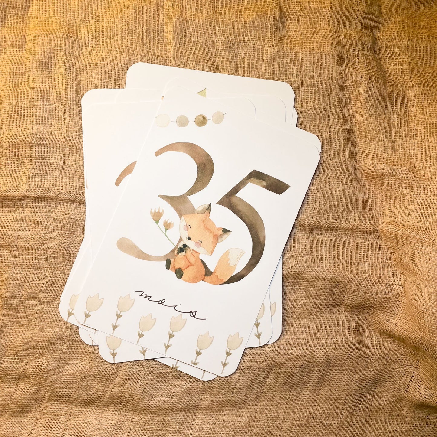 Baby Milestone Cards - Third Year - Fox