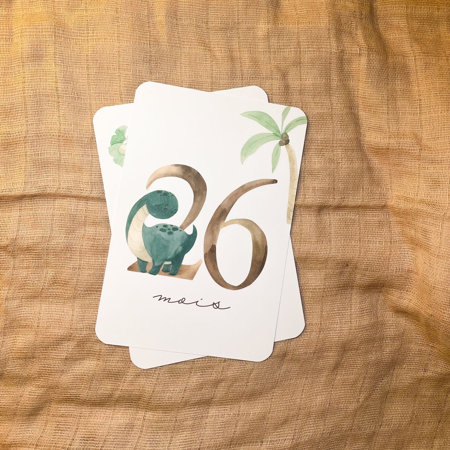 Baby Milestone Cards - Third Year - Dinosaur