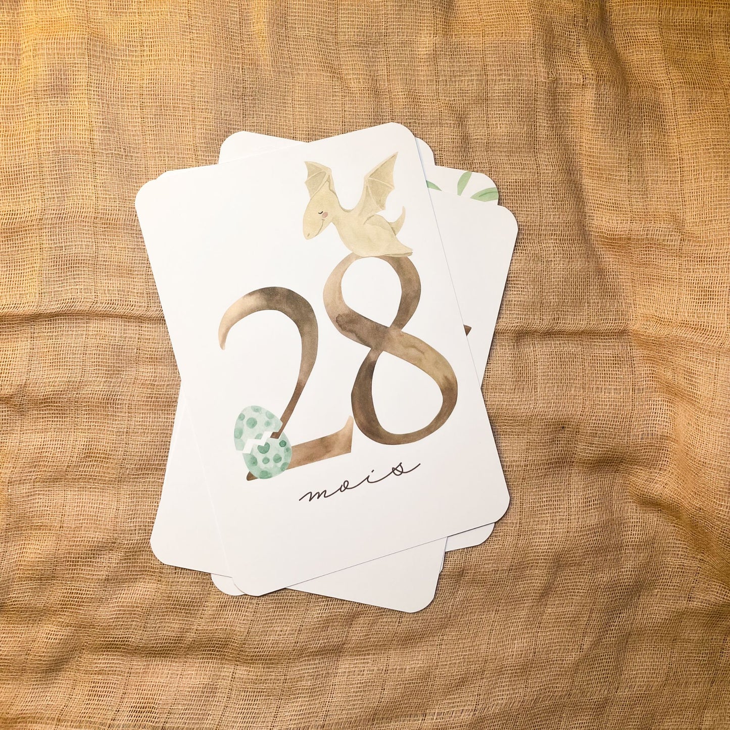 Baby Milestone Cards - Third Year - Dinosaur