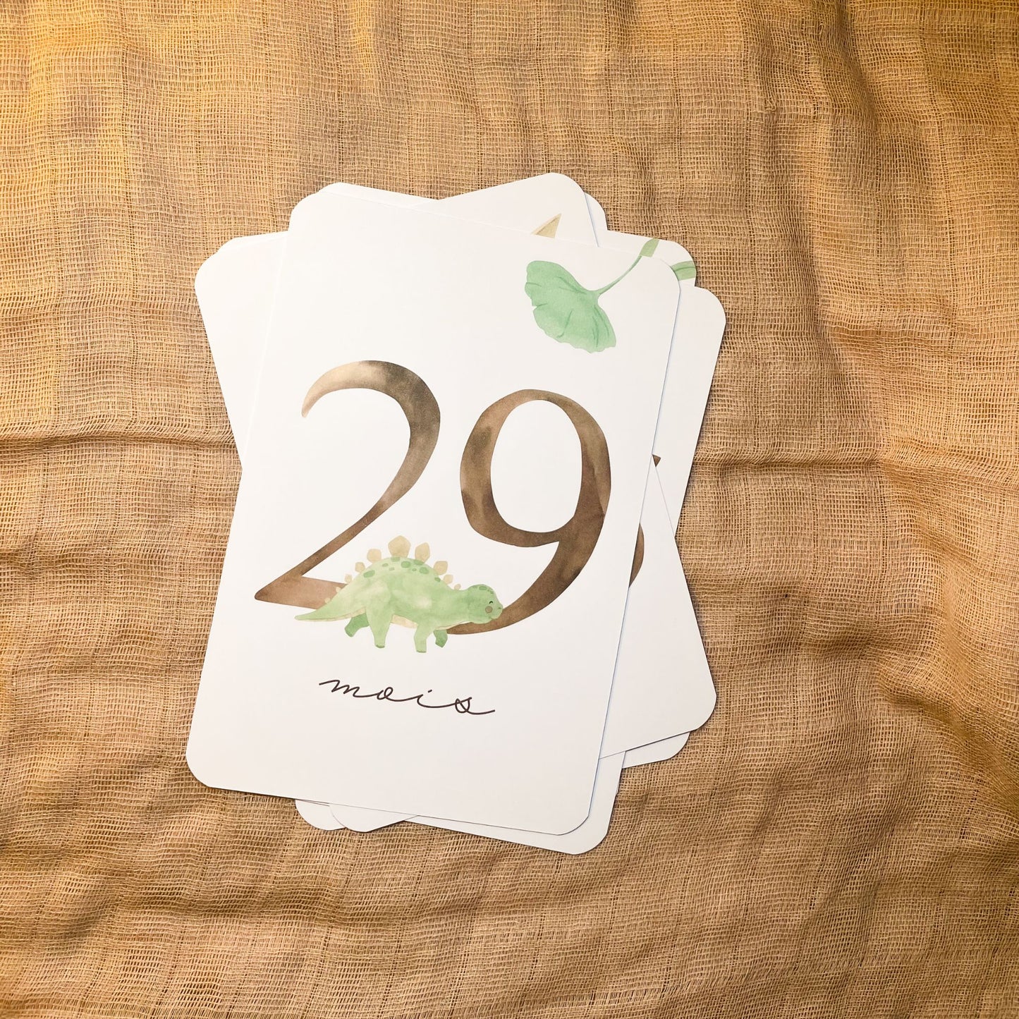 Baby Milestone Cards - Third Year - Dinosaur