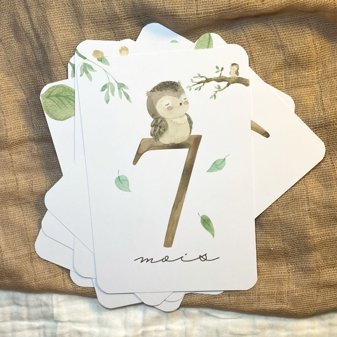Cartes étapes bébé - Première année - Animaux de la forêt