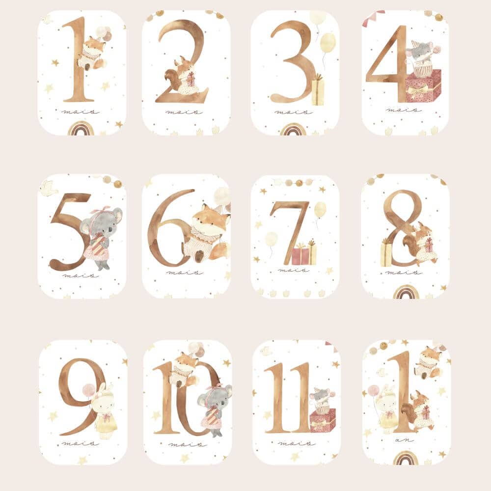 Baby milestone cards - First year - Girly