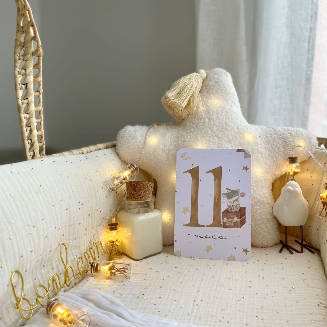 Baby milestone cards - First year - Girly