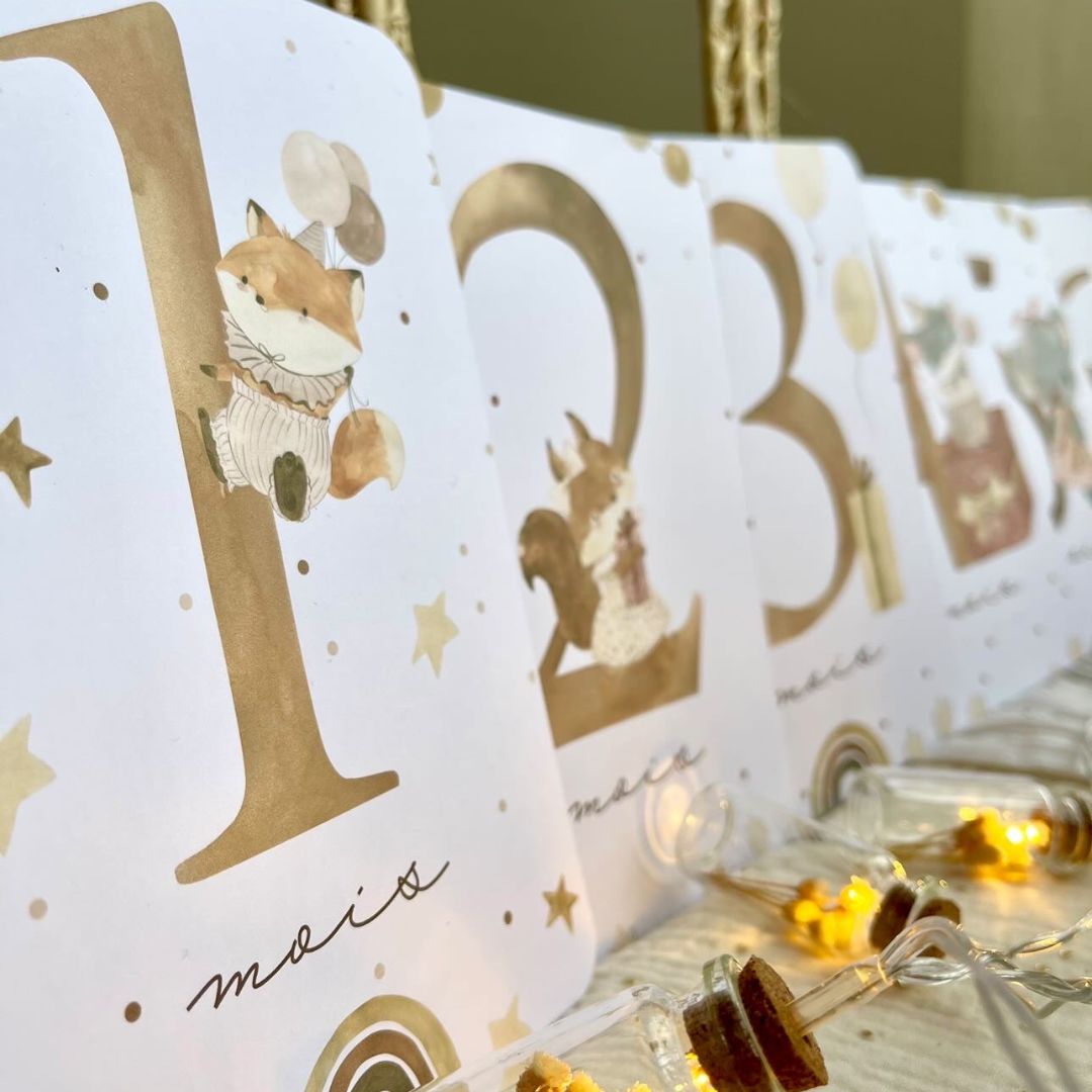 Baby milestone cards - First year - Girly