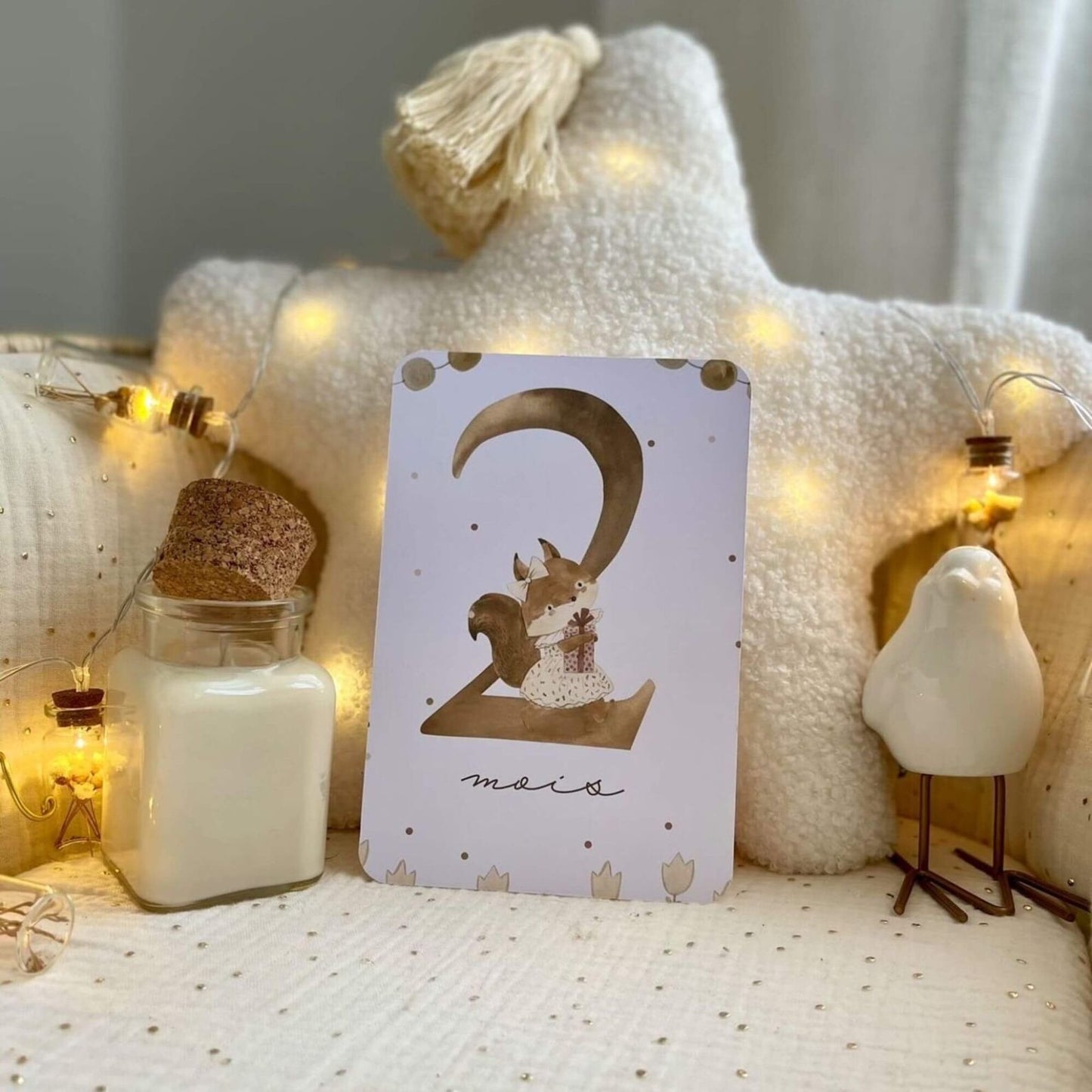 Baby milestone cards - First year - Girly