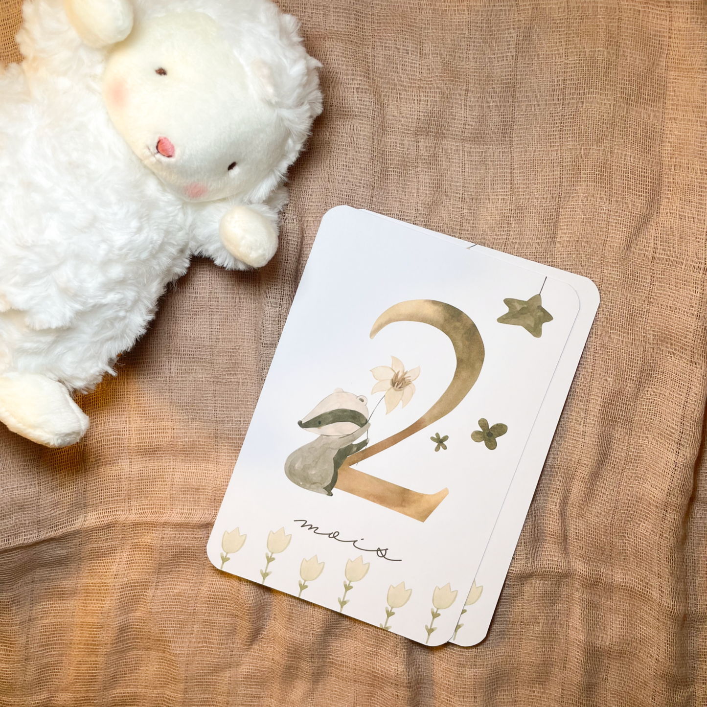 Baby milestone cards - First year - Bohemian Forest