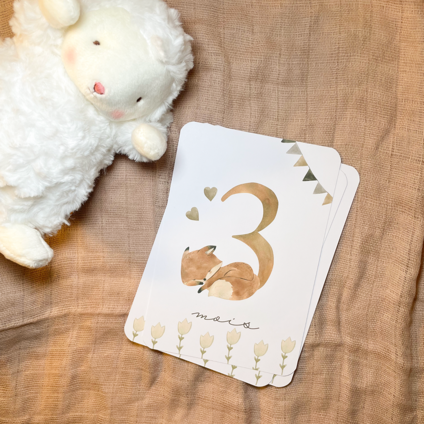 Baby milestone cards - First year - Bohemian Forest