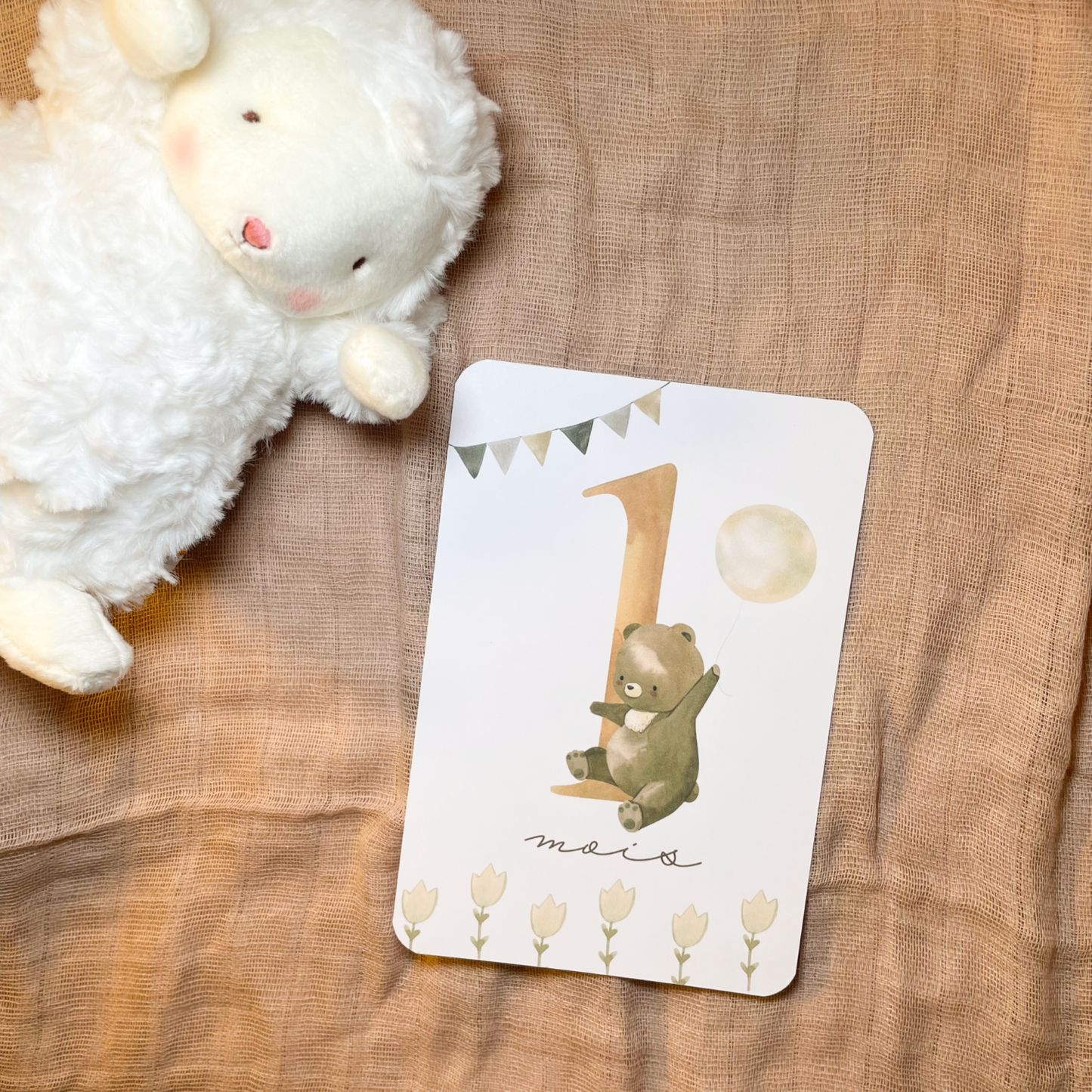 Baby milestone cards - First year - Teddy bears