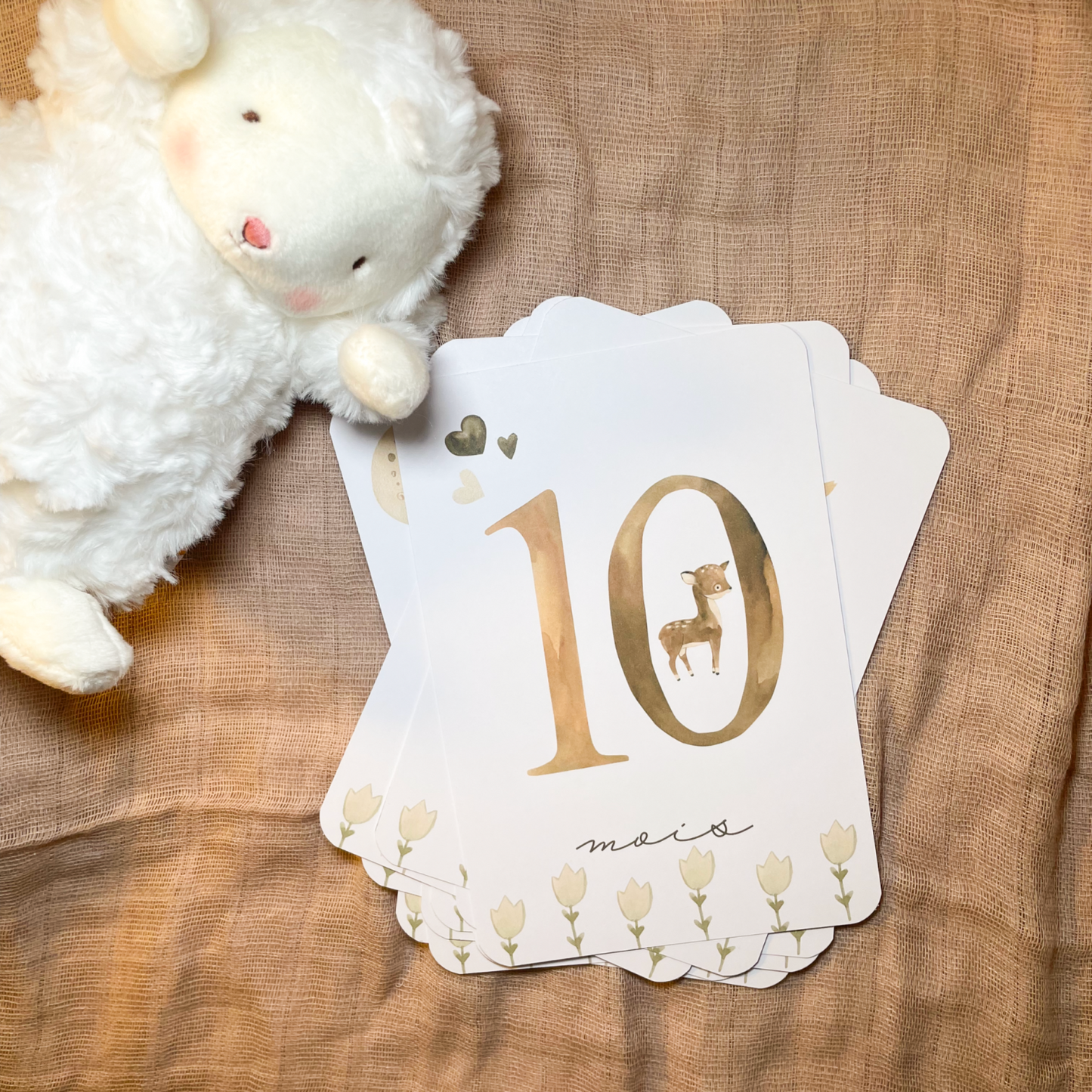 Baby milestone cards - First year - Teddy bears