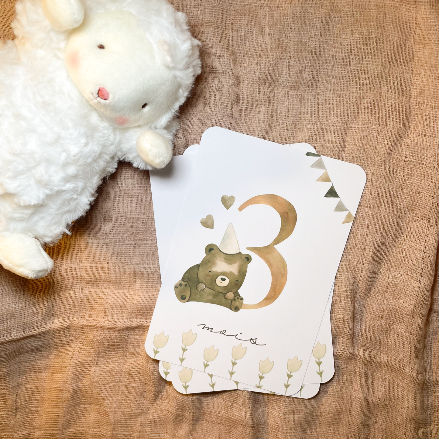 Baby milestone cards - First year - Teddy bears