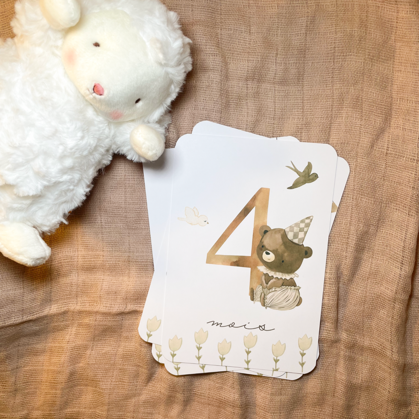 Baby milestone cards - First year - Teddy bears