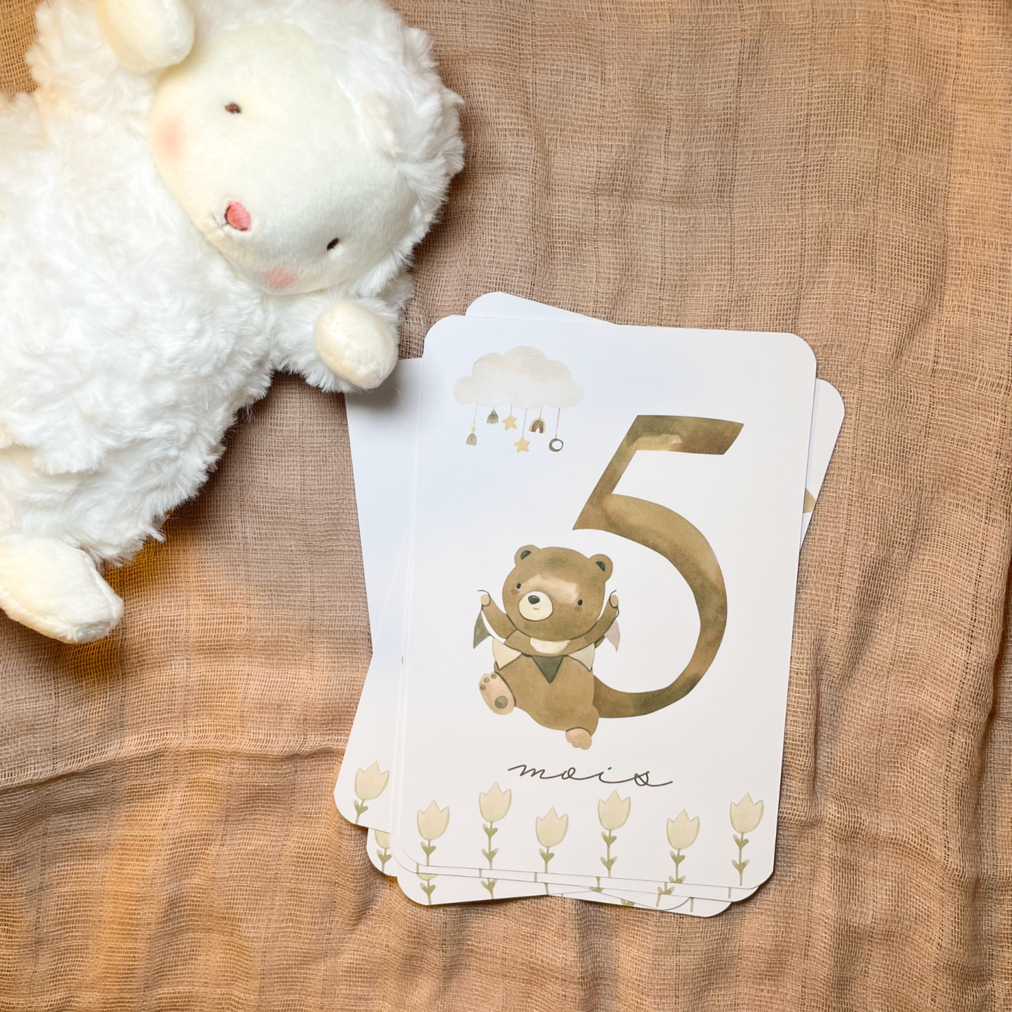 Baby milestone cards - First year - Teddy bears