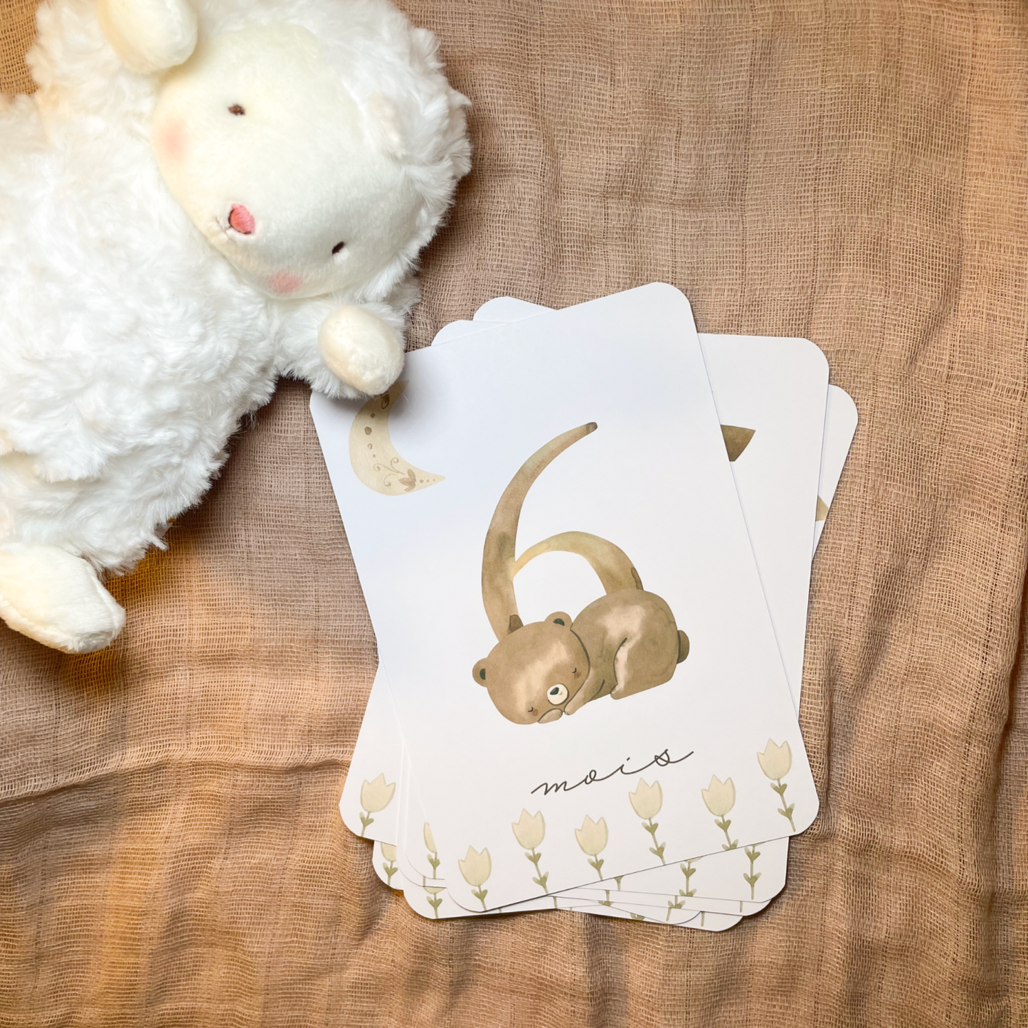 Baby milestone cards - First year - Teddy bears