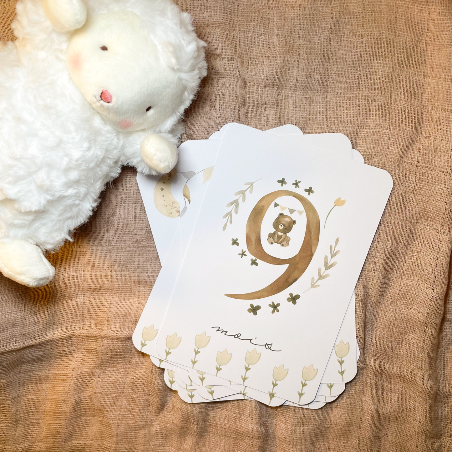 Baby milestone cards - First year - Teddy bears