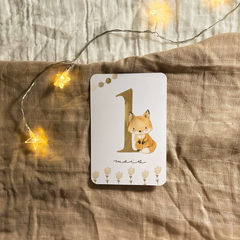 Baby milestone cards - First year - Fox