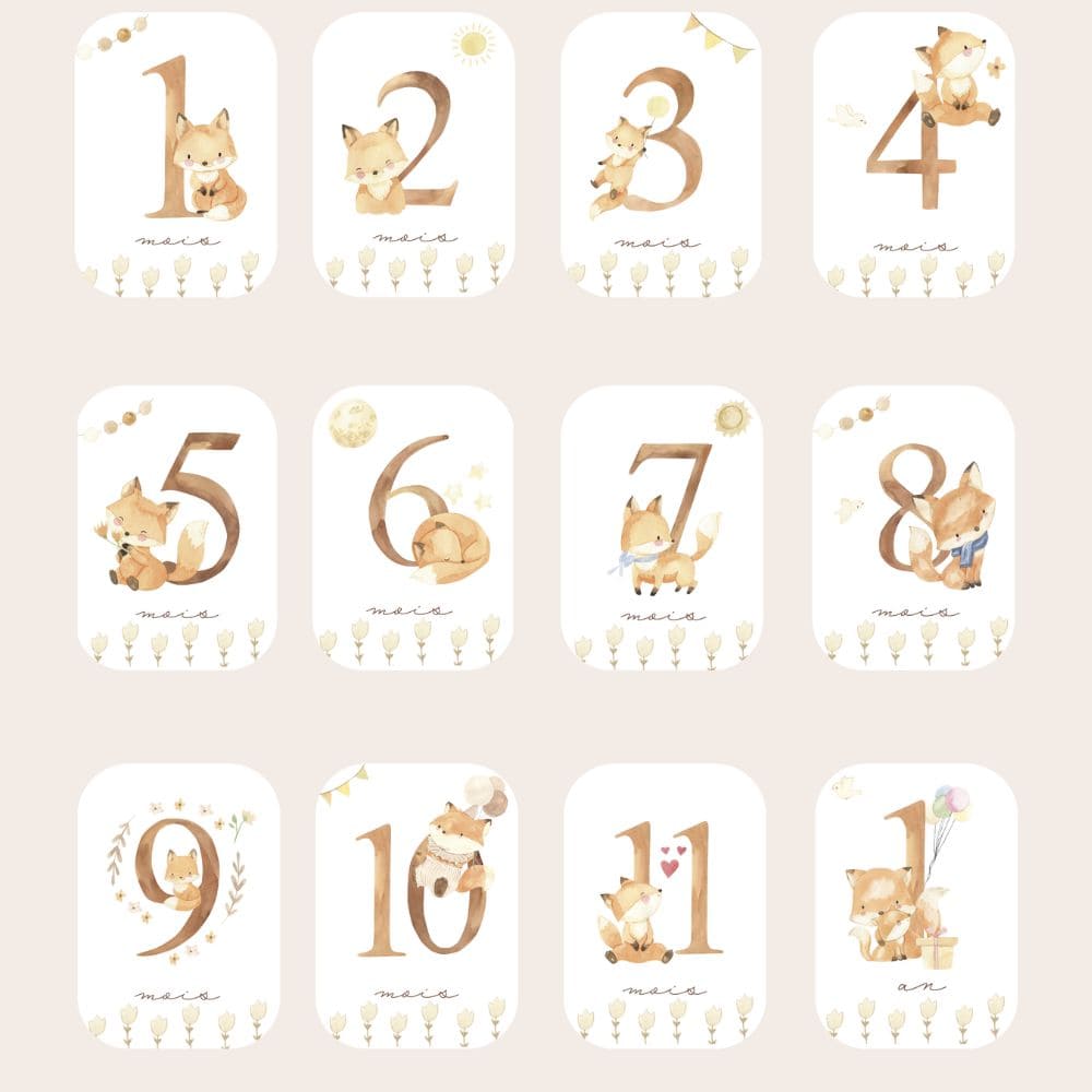 Baby milestone cards - First year - Fox