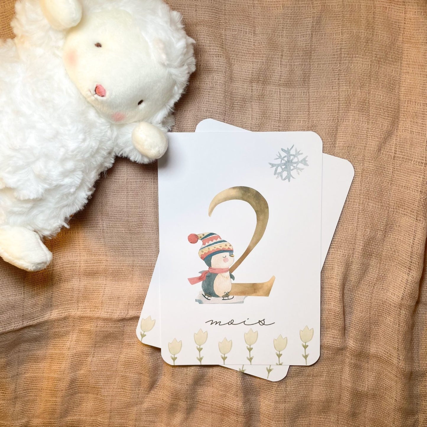 Baby Milestone Cards - First Year - Penguins