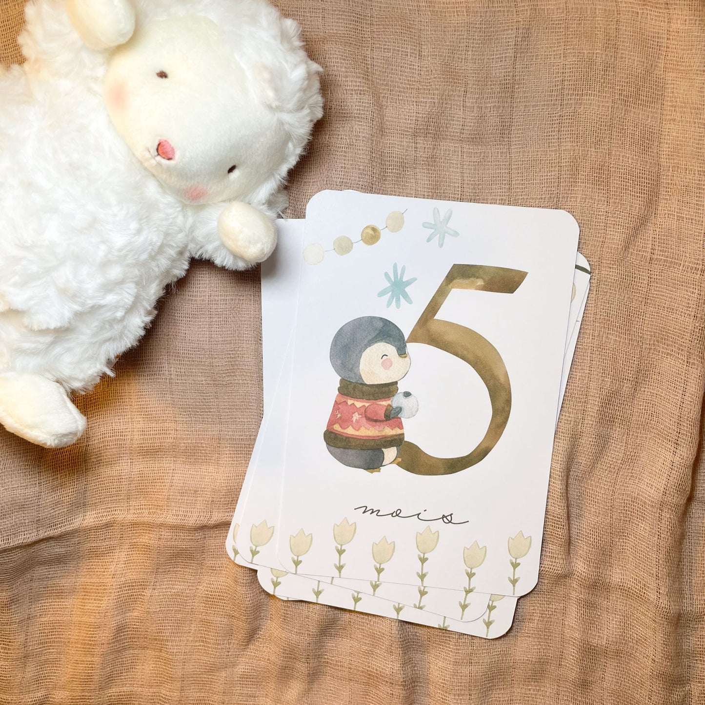 Baby Milestone Cards - First Year - Penguins