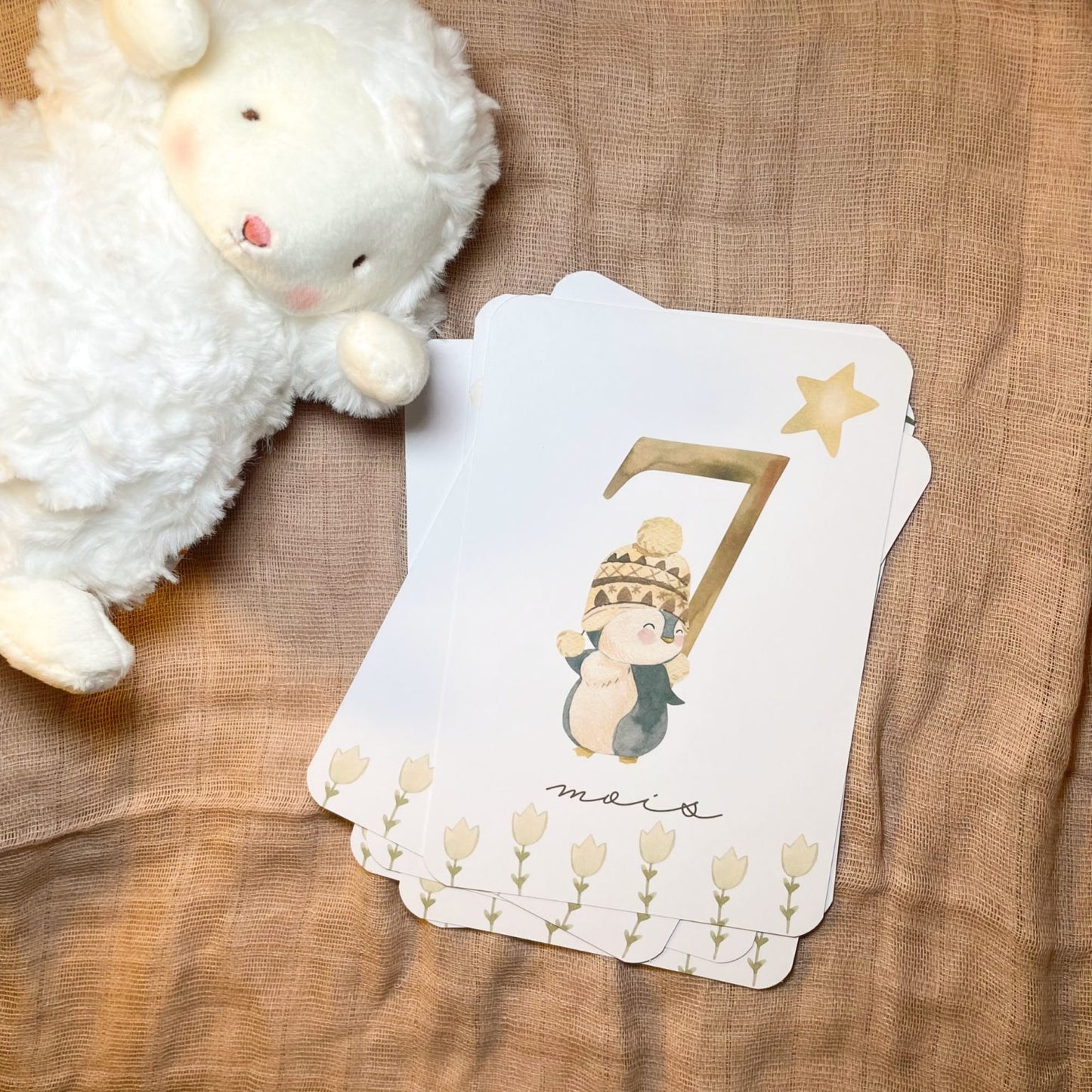 Baby Milestone Cards - First Year - Penguins