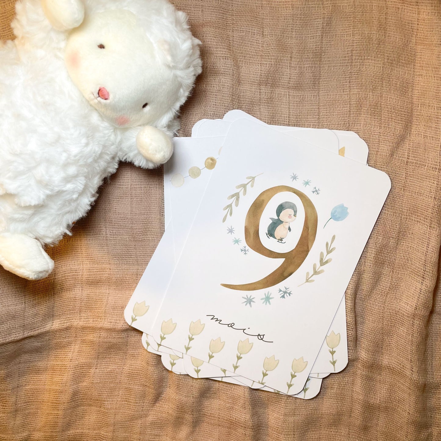 Baby Milestone Cards - First Year - Penguins