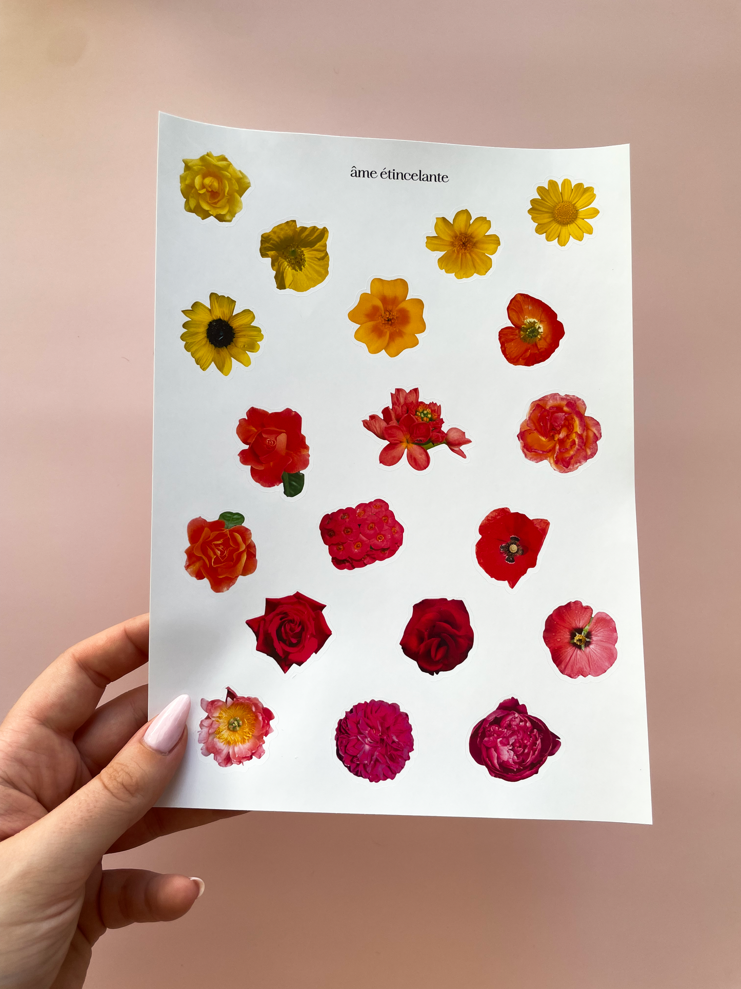Planche de stickers - fleurs rouges