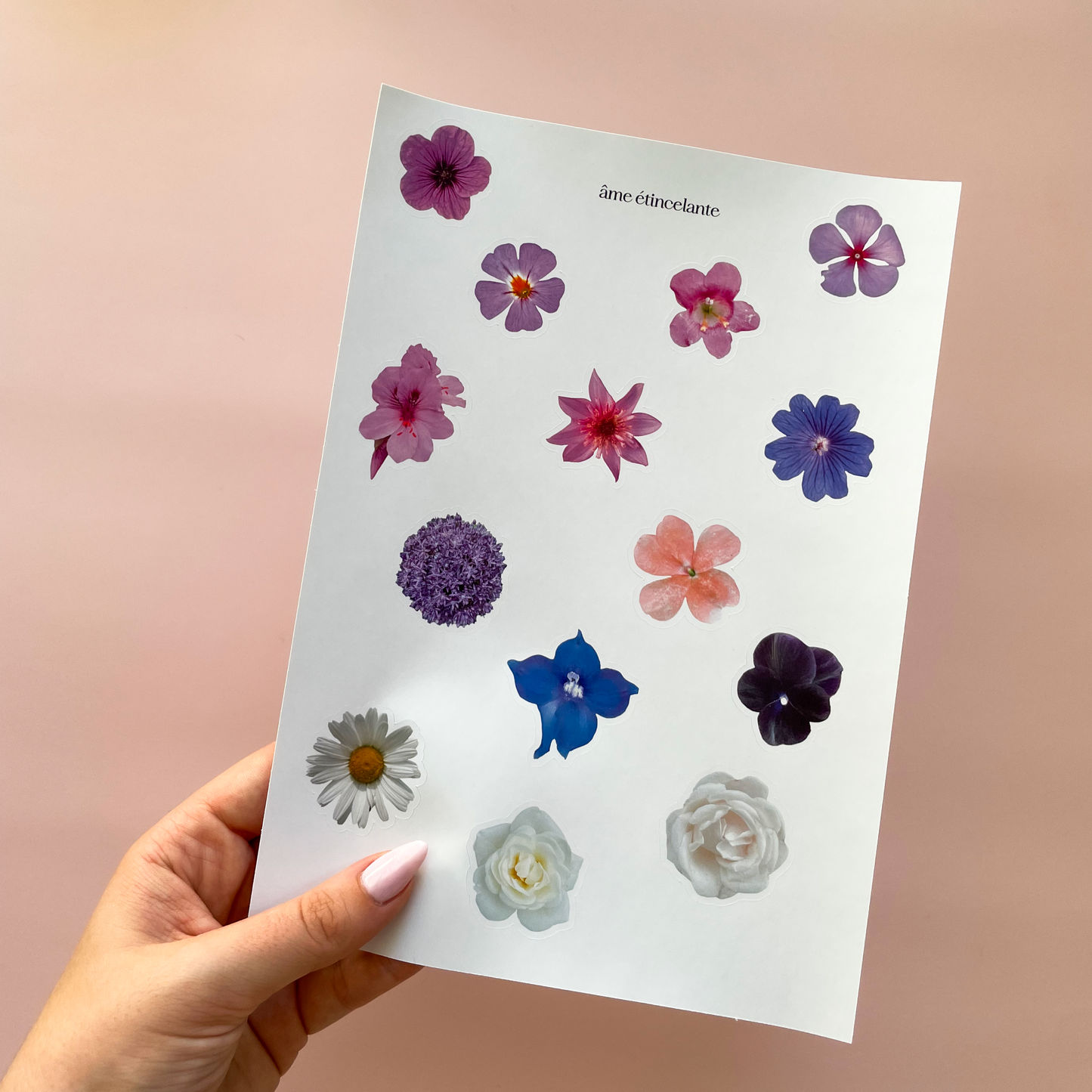 Planche de stickers - fleurs violettes