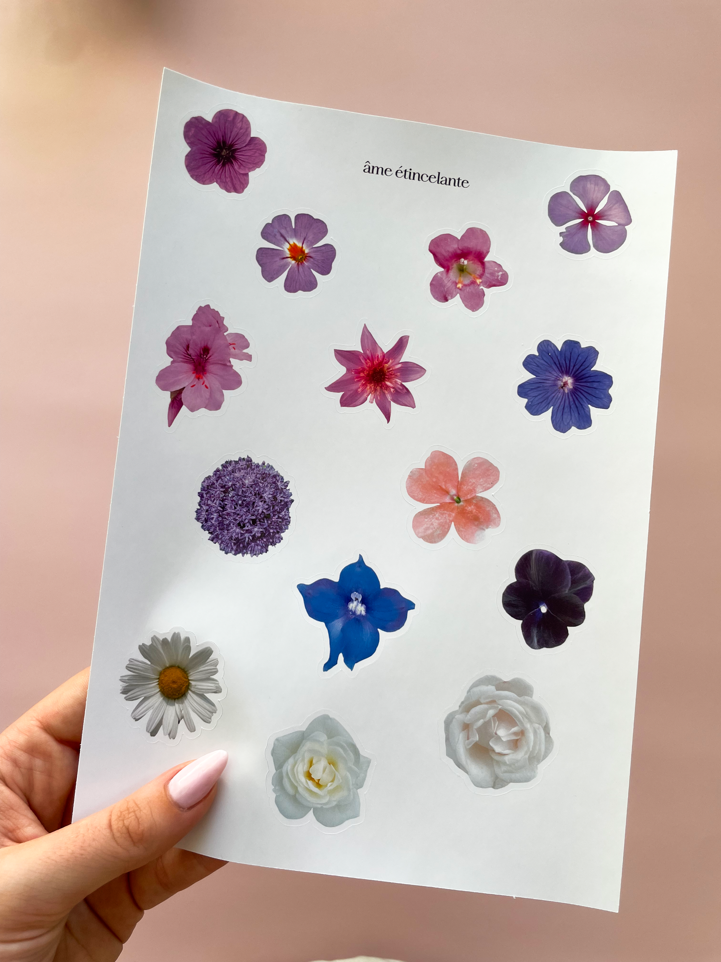 Planche de stickers - fleurs violettes