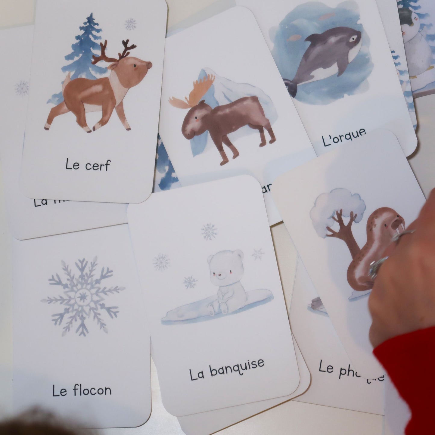 Learning game 3 years old - North Pole animals