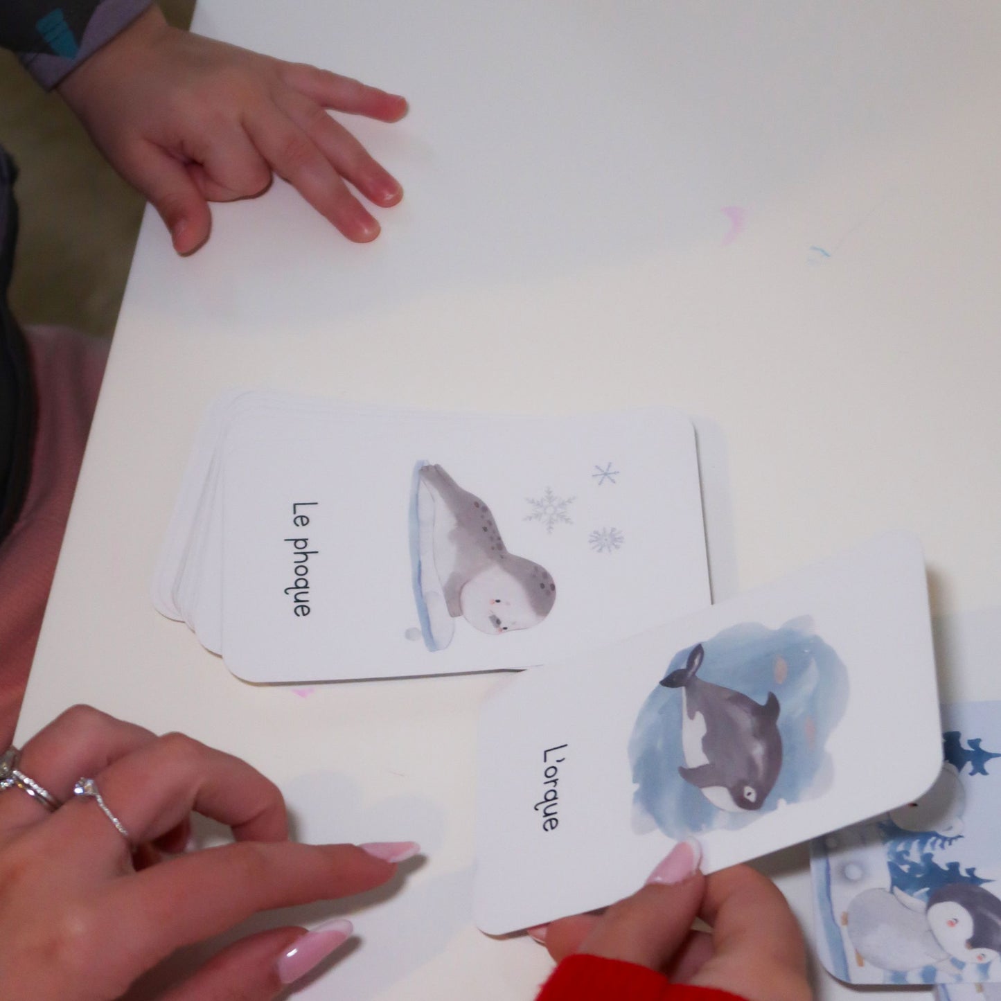 Learning game 3 years old - North Pole animals