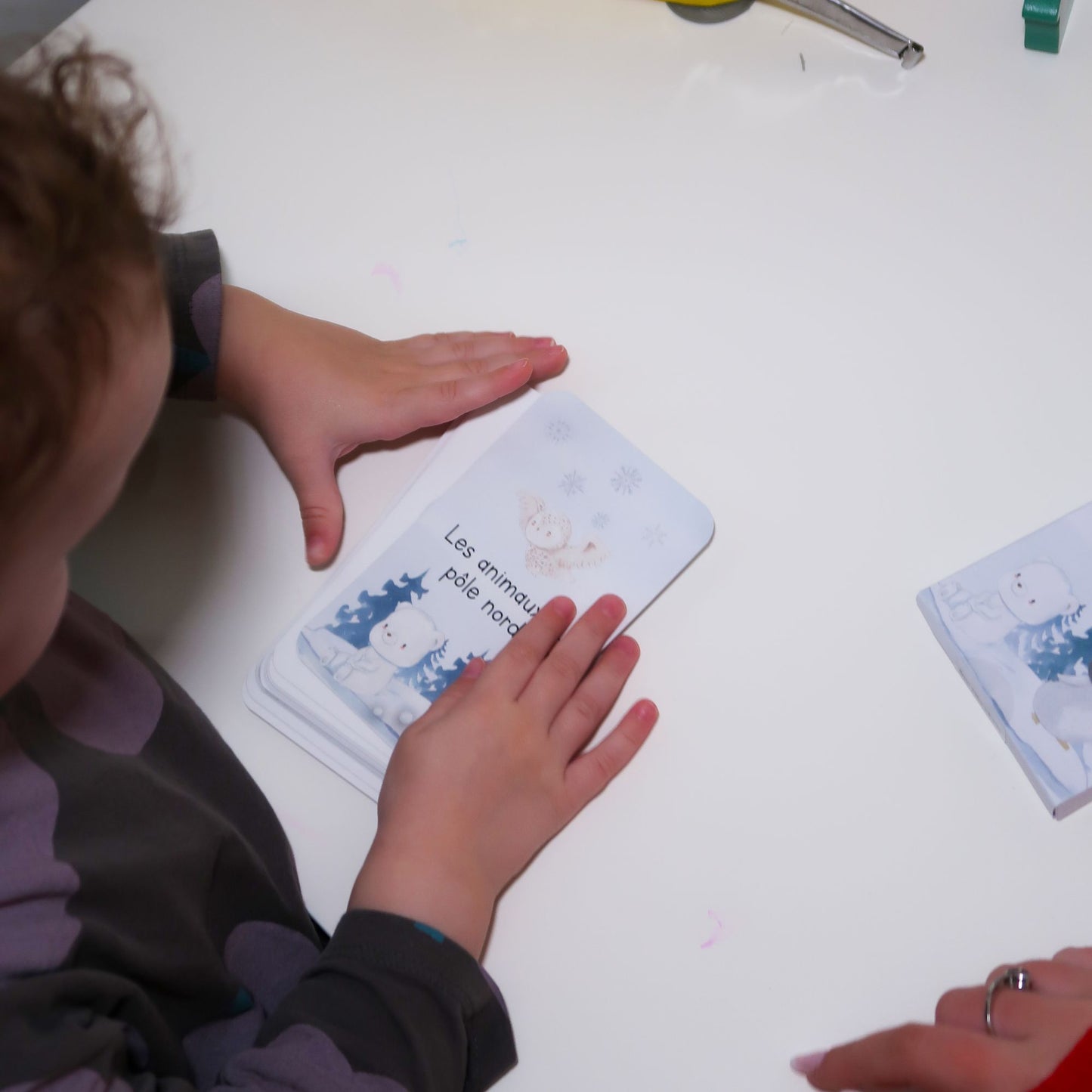 Learning game 3 years old - North Pole animals