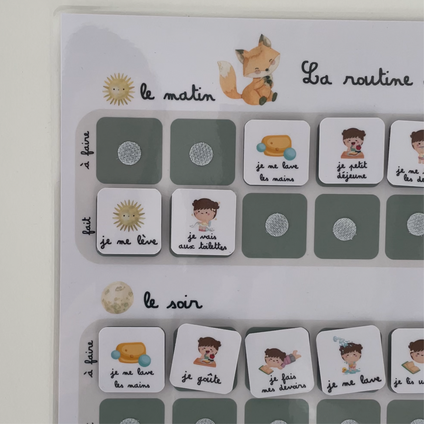 Children's daily routine - Fox