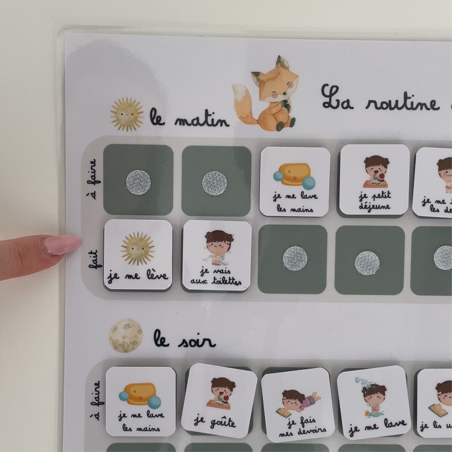 Children's daily routine - Fox
