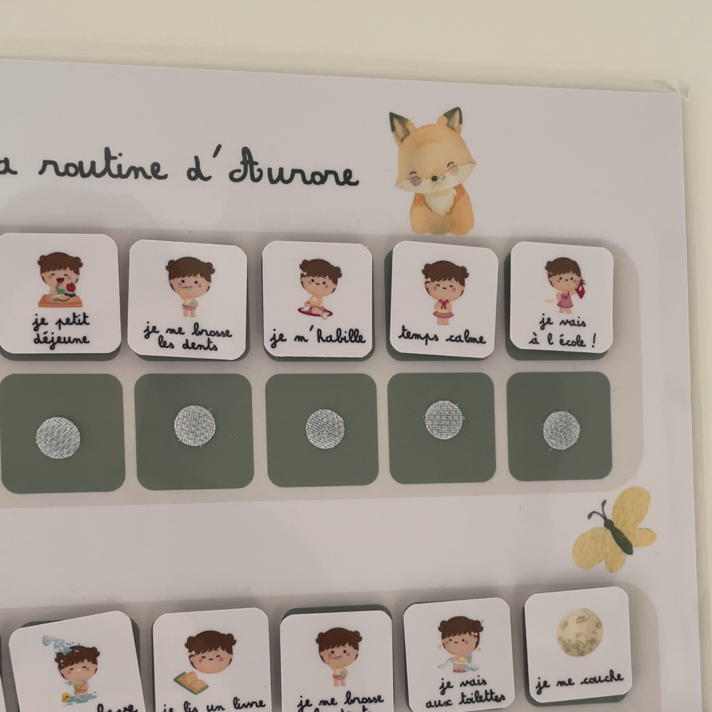 Children's daily routine - Fox