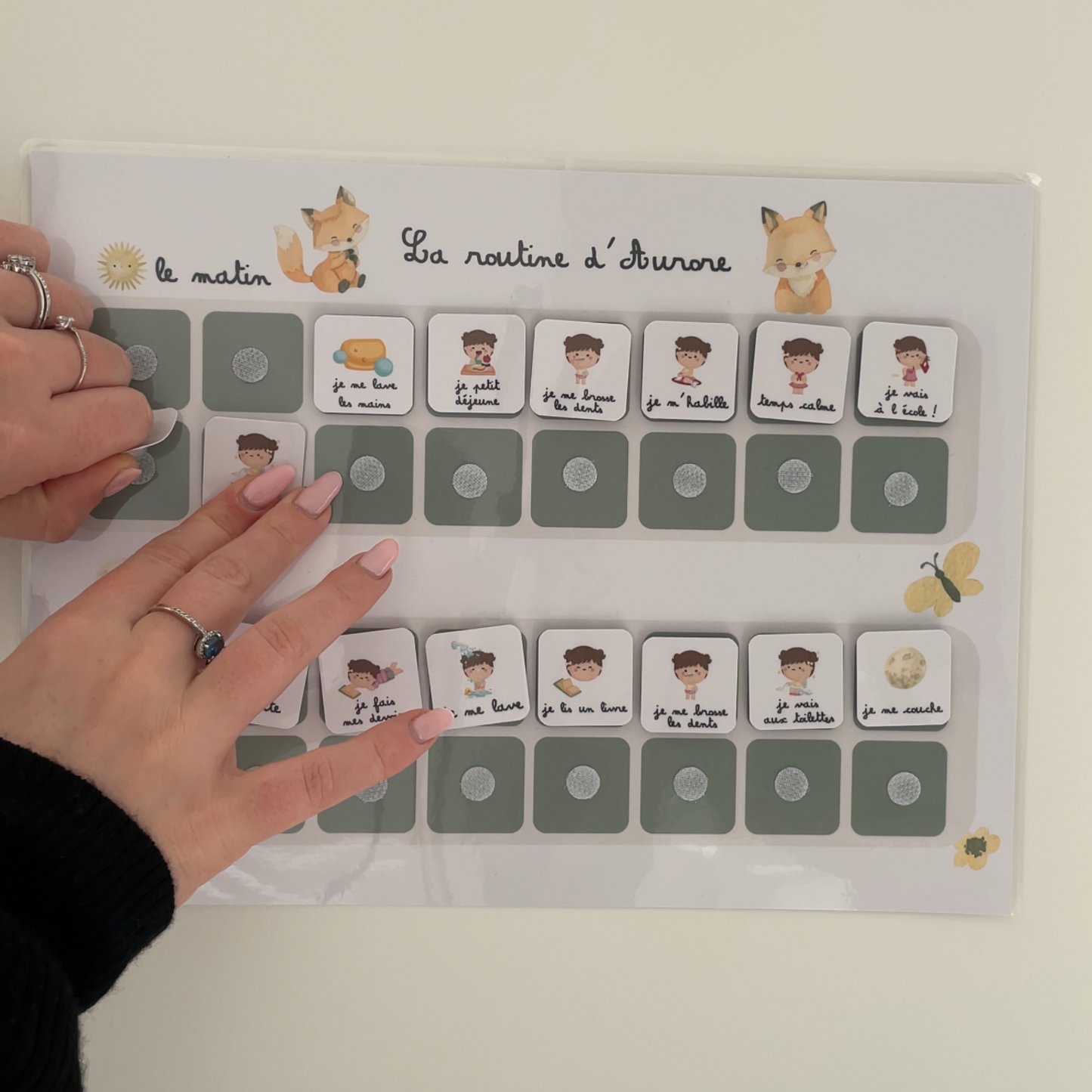 Children's daily routine - Fox