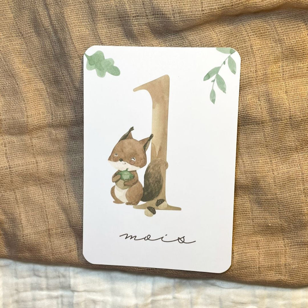 Baby Milestone Cards - First Year - Woodland