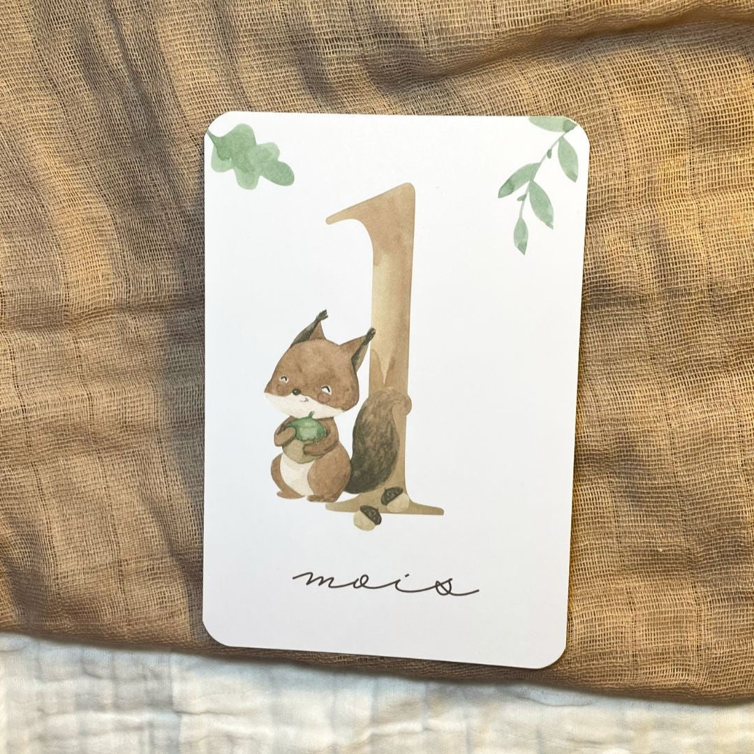 Baby Milestone Cards - First Year - Woodland