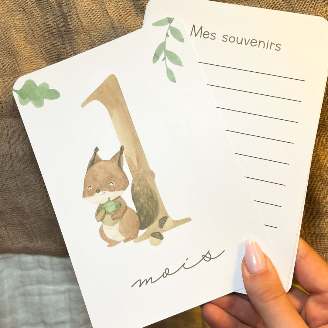 Cartes étapes bébé - Première année - Animaux de la forêt