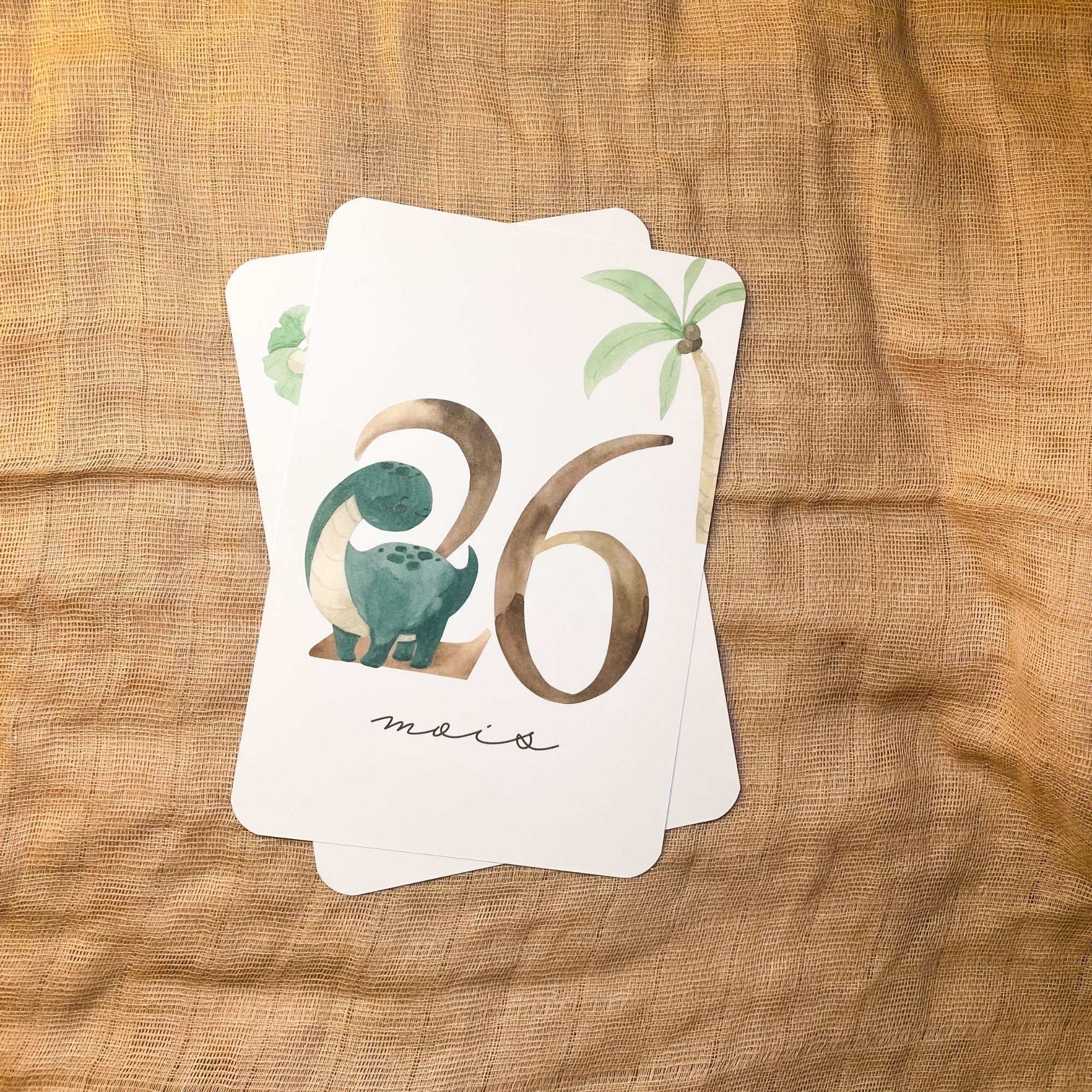 Baby Milestone Cards - Third Year - Dinosaur