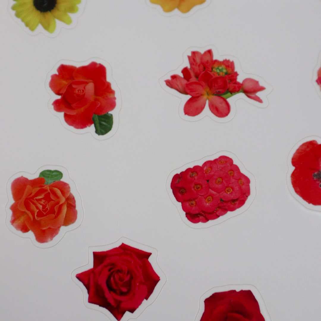 Planches de stickers - fleurs 🌼
