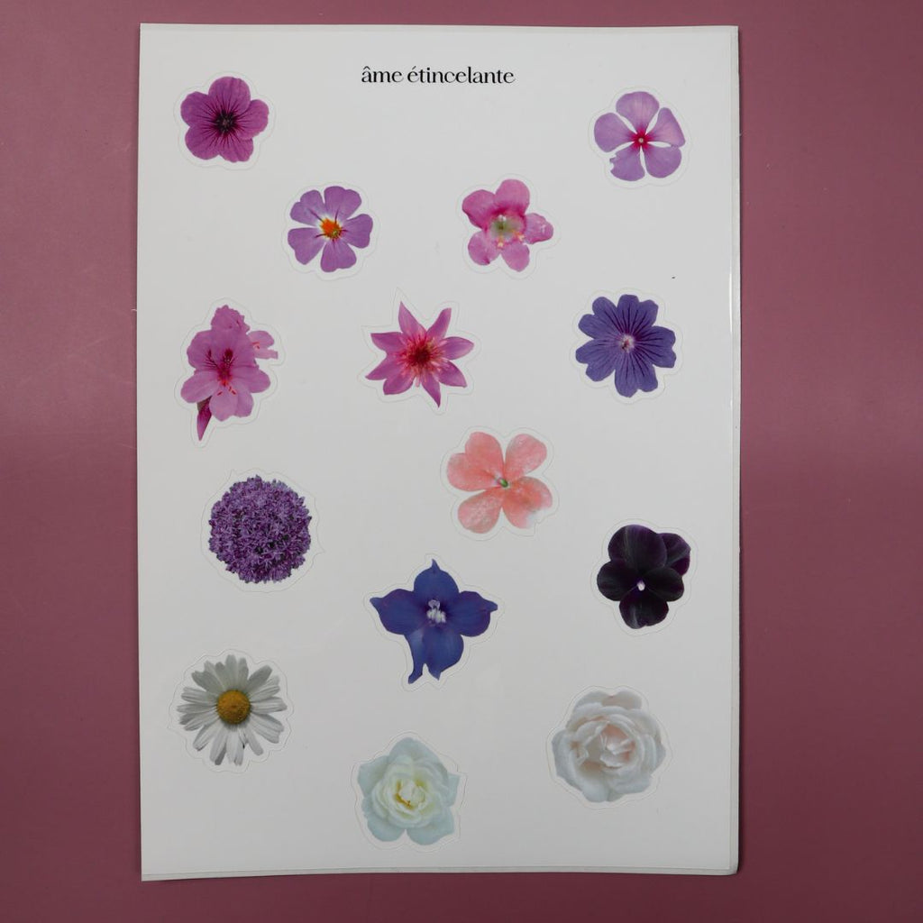 Planches de stickers - fleurs bleues 🪻