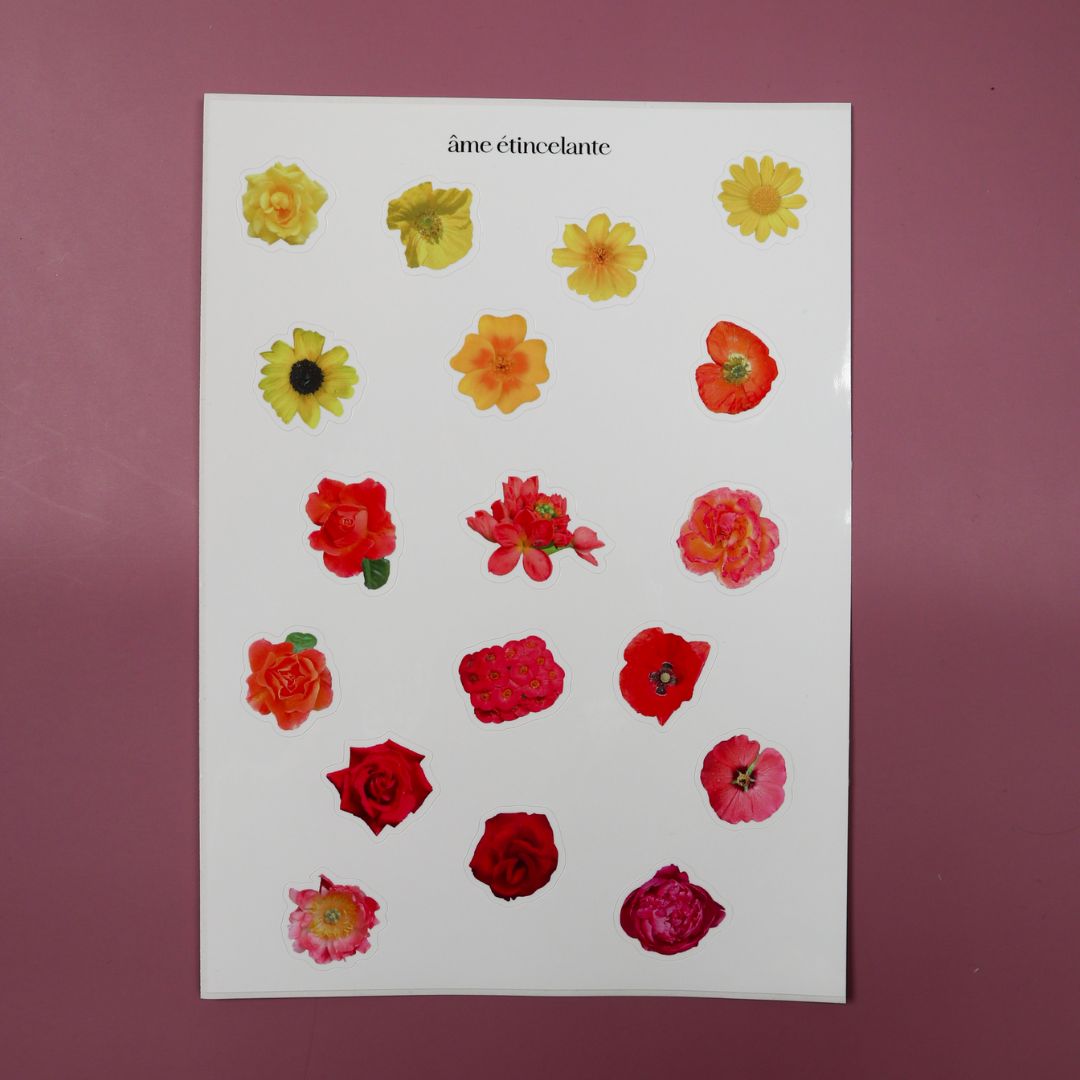Planches de stickers - fleurs 🌼