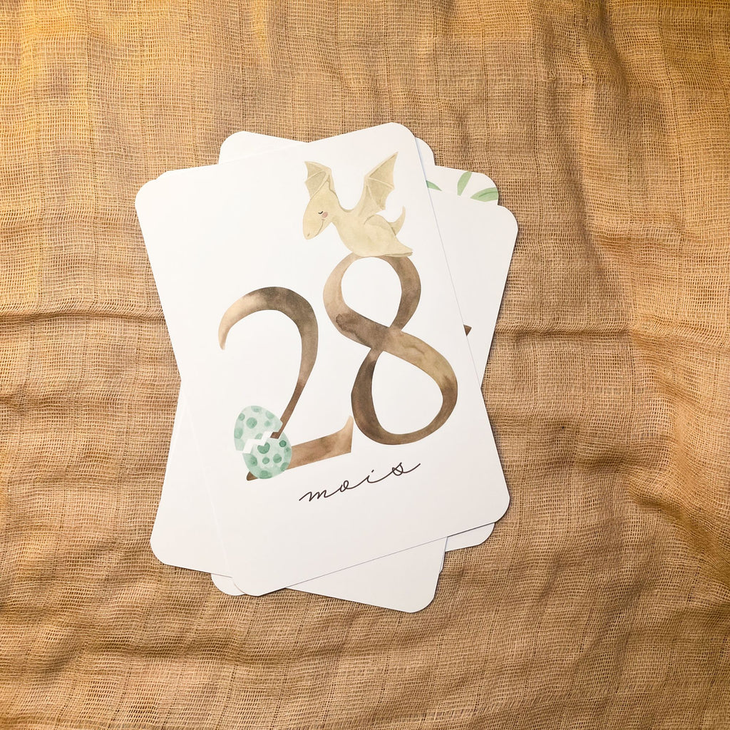 Baby Milestone Cards - Third Year - Dinosaur