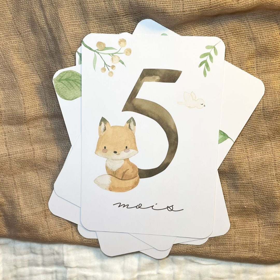 Cartes étapes bébé - Première année - Animaux de la forêt