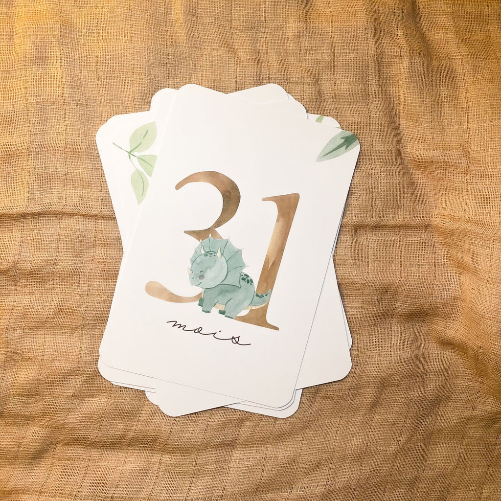 Baby Milestone Cards - Third Year - Dinosaur