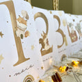 Baby milestone cards - First year - Girly