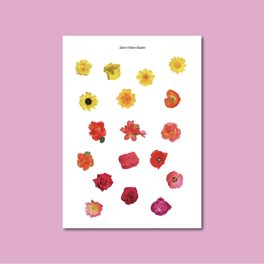 Planches de stickers - fleurs 🌼