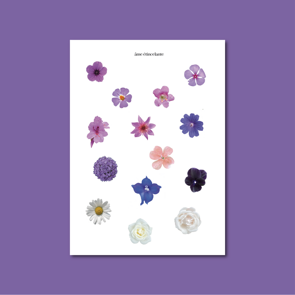 Planches de stickers - fleurs bleues 🪻