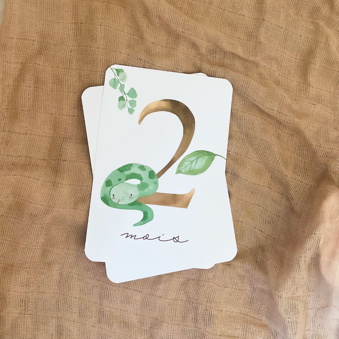 Baby Milestone Cards - First Year - Australian Animals