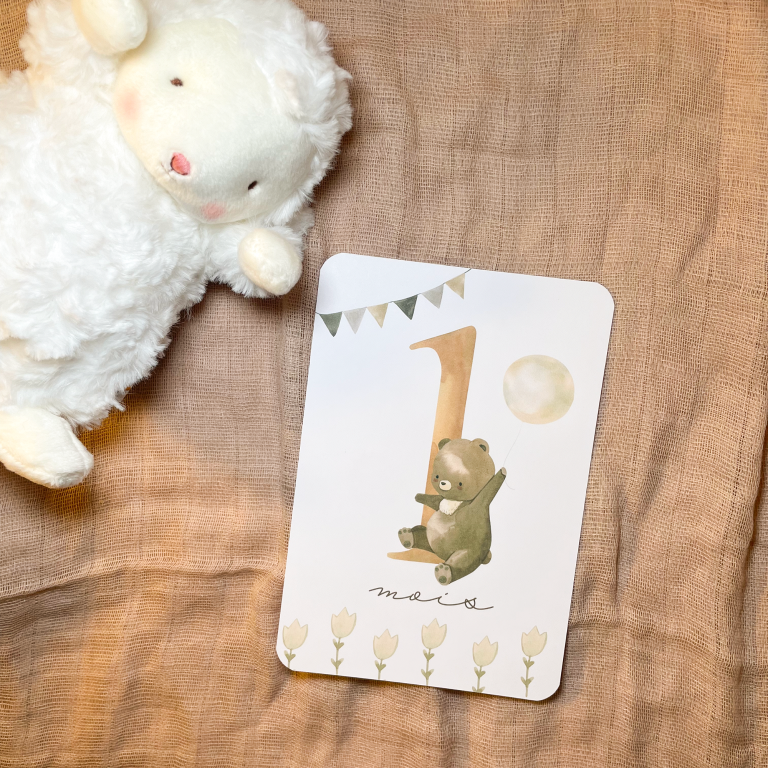 Baby milestone cards - First year - Teddy bears