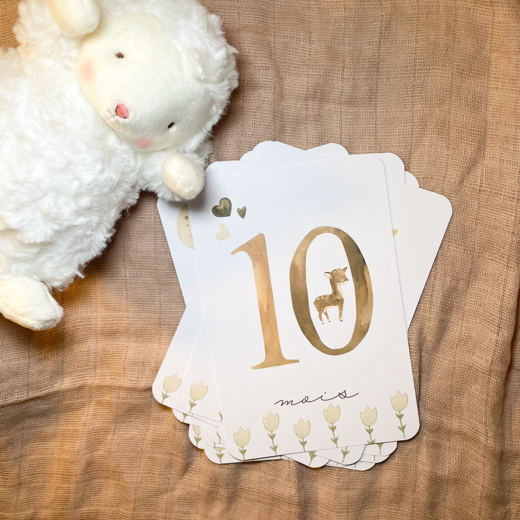 Baby milestone cards - First year - Teddy bears